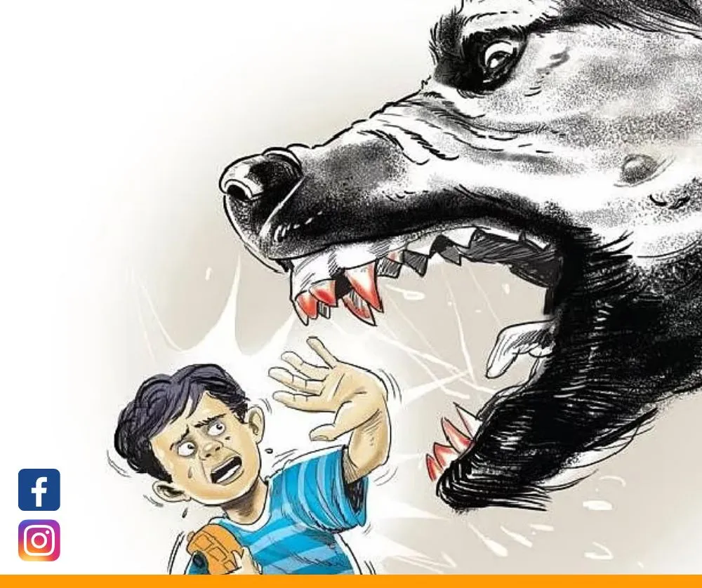 2-Year-Old Critically Injured in Stray Dog Attack at Azad Nagar, Belagavi